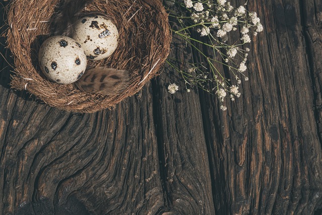 Horosan Bıldırcın