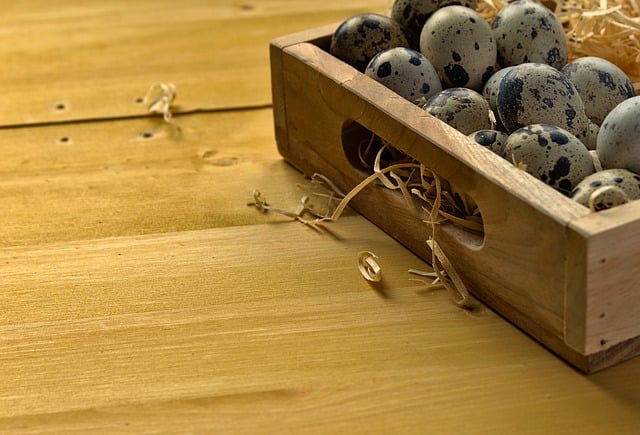 Karakoçan Bıldırcın